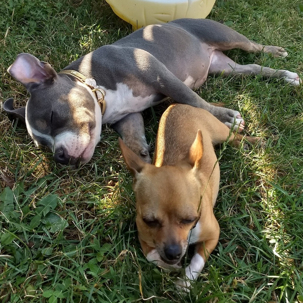 Meet your Posher, Simon